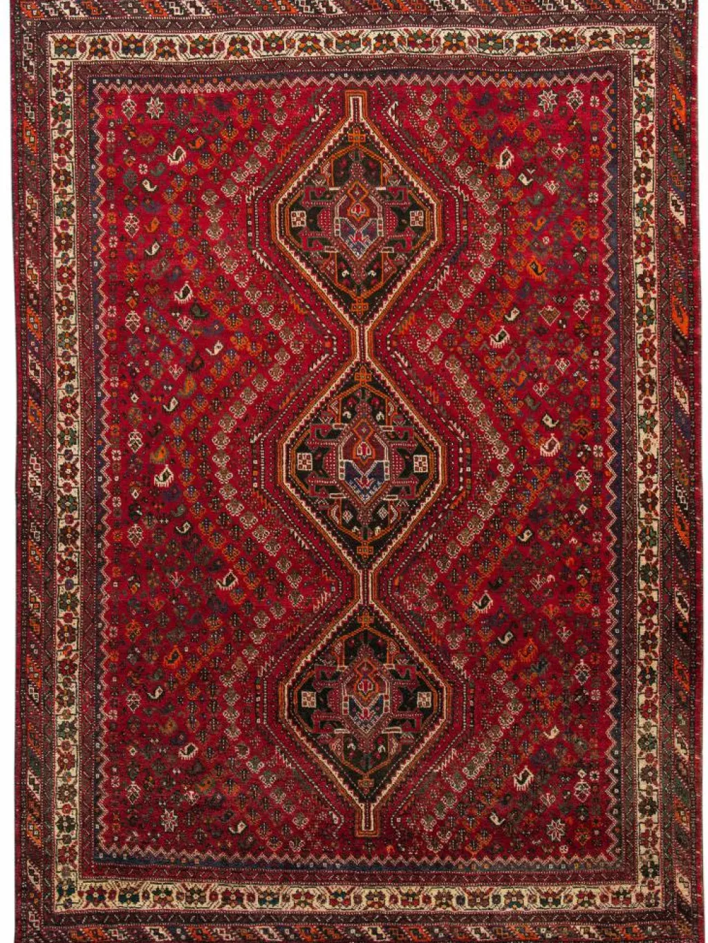 Shiraz|Kibek Clearance