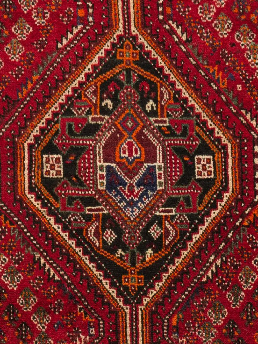 Shiraz|Kibek Clearance