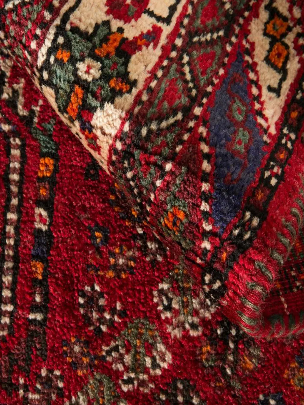 Shiraz|Kibek Clearance