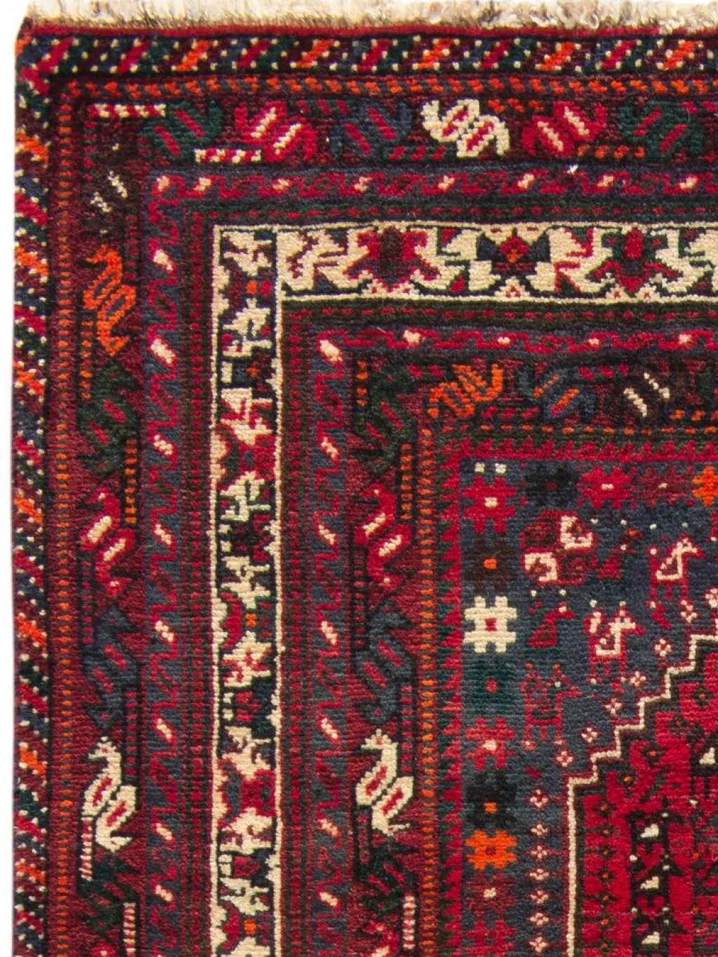 Shiraz|Kibek Clearance