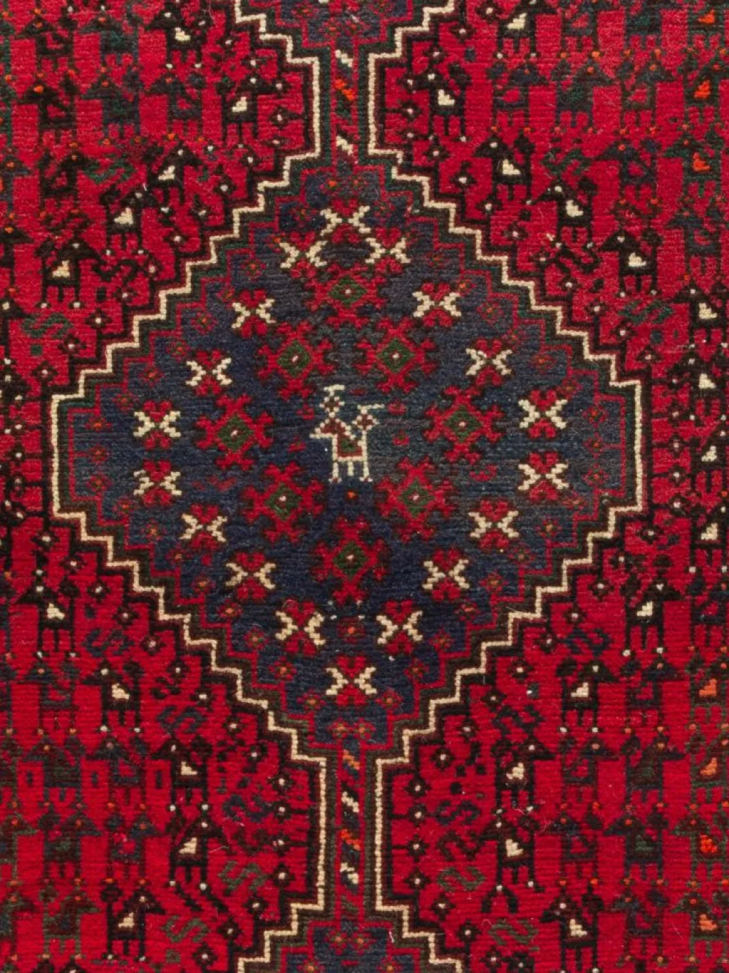 Shiraz|Kibek Clearance