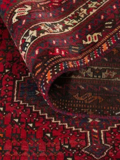 Shiraz|Kibek Clearance