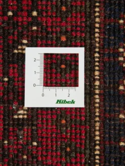 Shiraz|Kibek Clearance