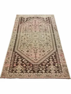 Shiraz Vintage|Kibek