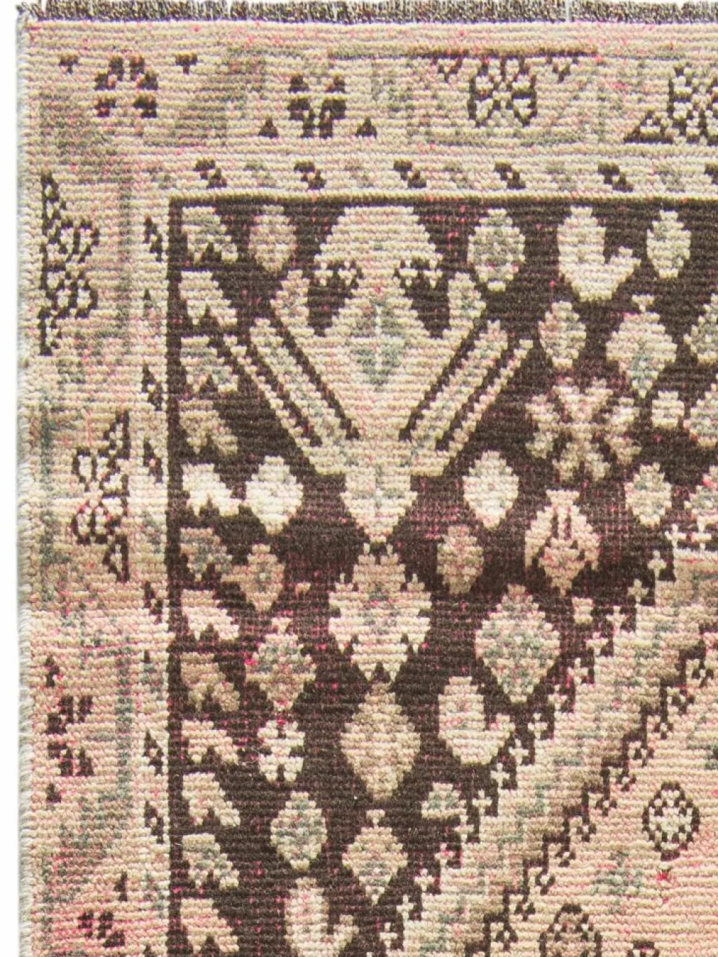 Shiraz Vintage|Kibek