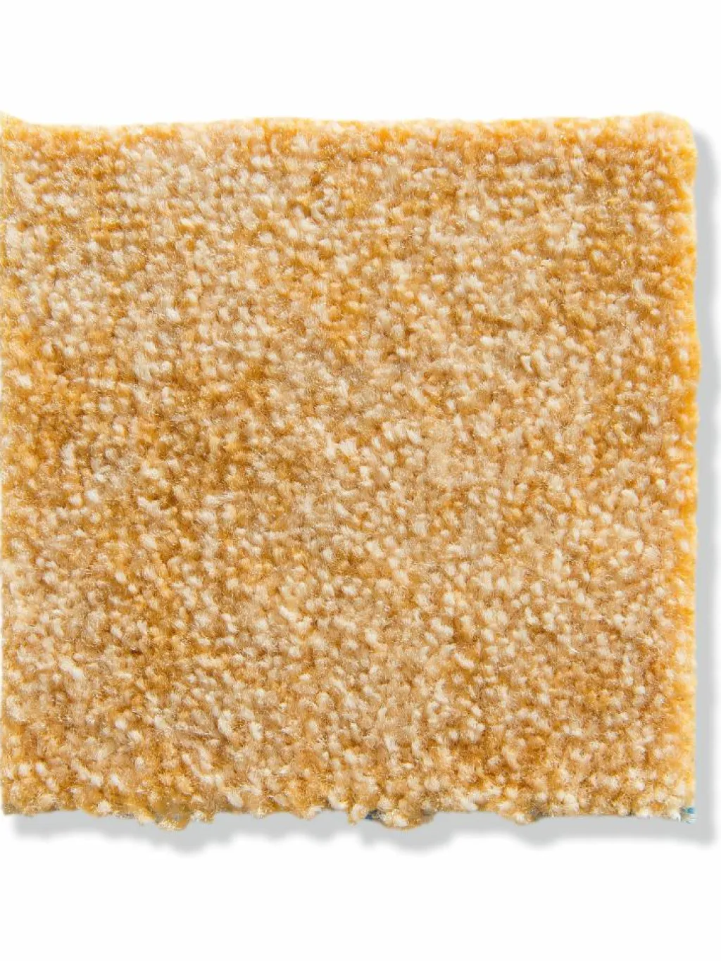 Siena|Kibek Discount