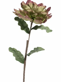 Softflower|Kibek Best