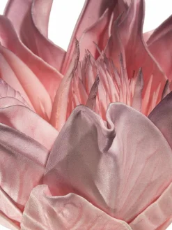 Softflower|Kibek Online