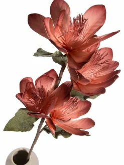 Softflower|Kibek Discount