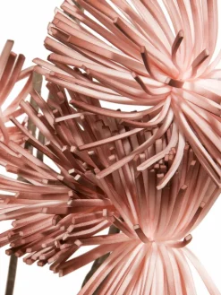 Softflower|Kibek Sale