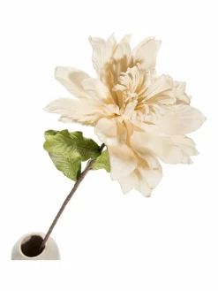 Softflower|Kibek Sale