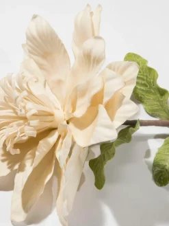 Softflower|Kibek Sale