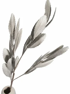 Softleaves|Kibek Outlet