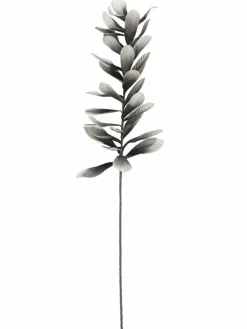 Softleaves|Kibek Discount