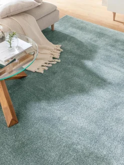 Sovereign|Kibek Clearance