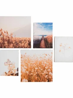 Strandplätze|Kibek Sale