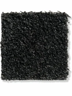 Symphonie|Kibek Online