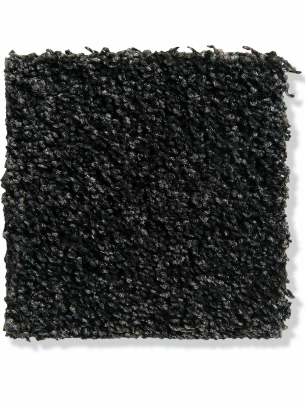 Symphonie|Kibek Online