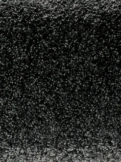 Symphonie|Kibek Online