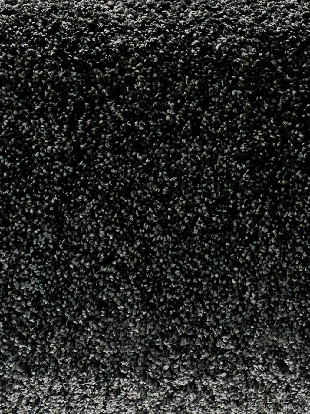 Symphonie|Kibek Online