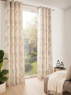 Syringa|Kibek Online