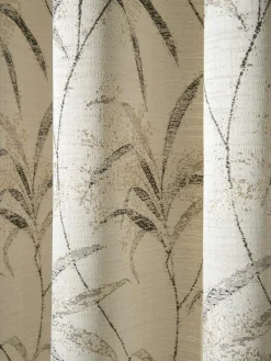 Syringa|Kibek Online