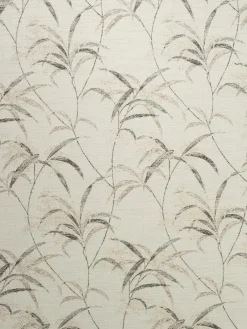 Syringa|Kibek Online