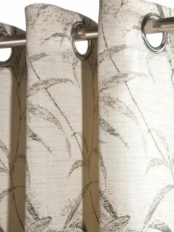 Syringa|Kibek Online