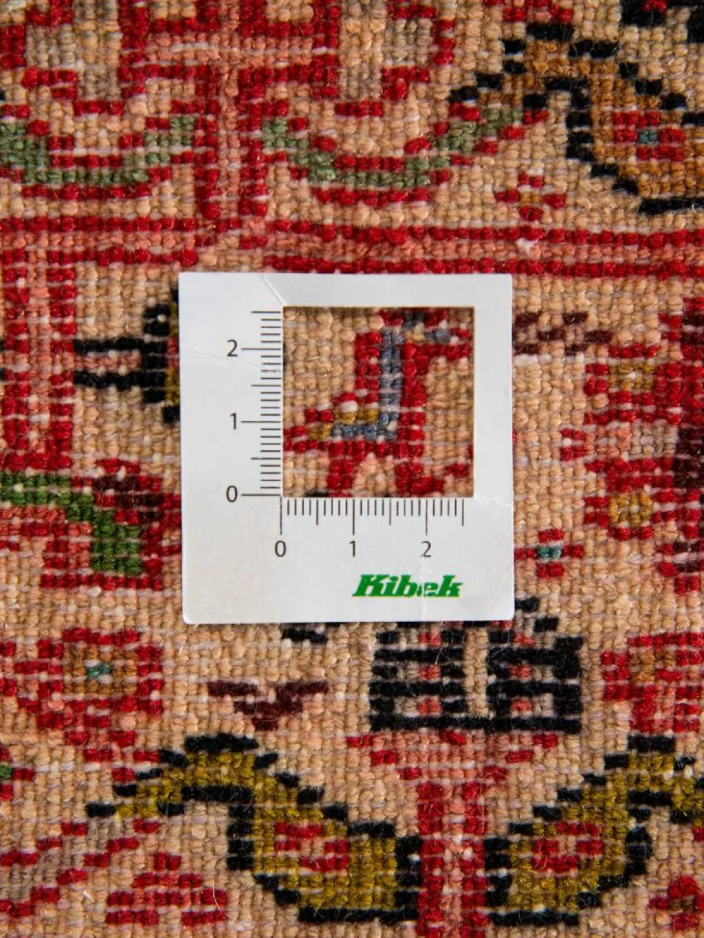 Tadjabad Hamadan|Kibek Hot