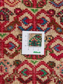 Tadjabad Hamadan|Kibek