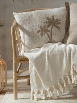 Talipote|Kibek Outlet