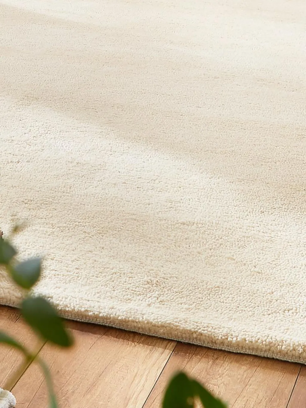 Tanger|Kibek Clearance