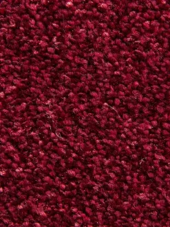 Taomania|Kibek Discount