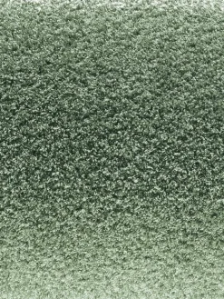 Tenderness|Kibek Online