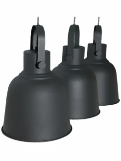 Timelessi|Kibek Online