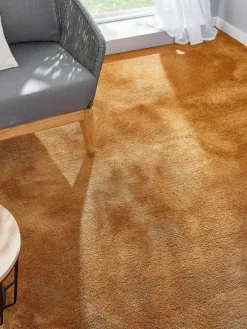 Tortosa|Kibek Clearance