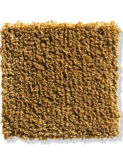 Tortosa|Kibek Clearance