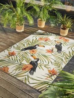 Tropical|Kibek Online