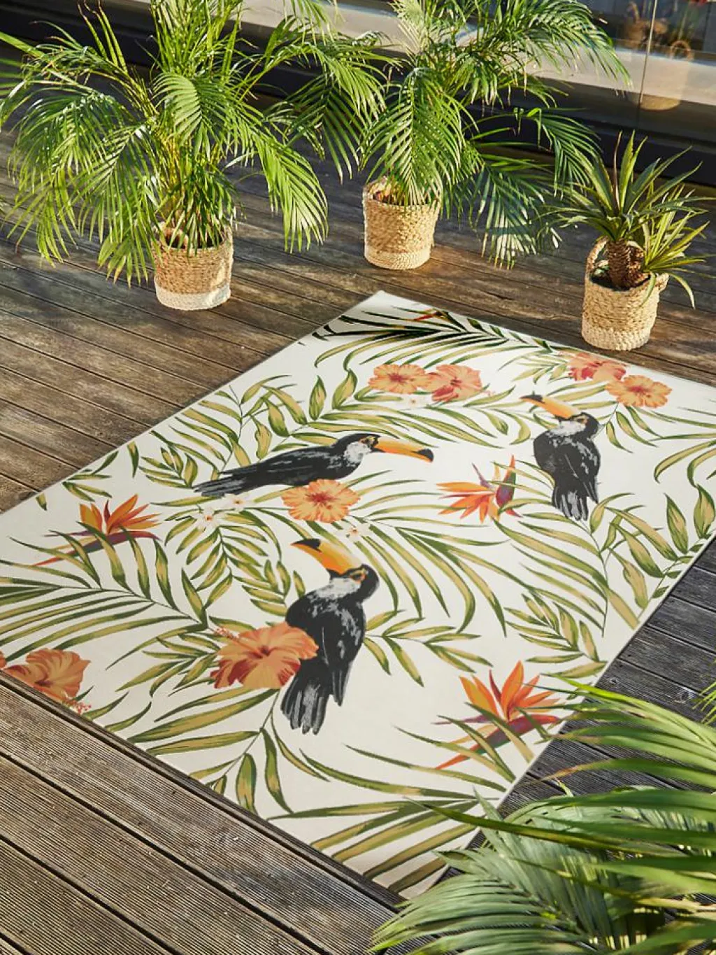 Tropical|Kibek Online