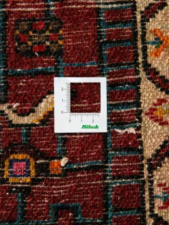 Tuiserkan Hamadan|Kibek Clearance