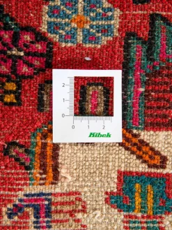 Tuiserkan Hamadan|Kibek Sale