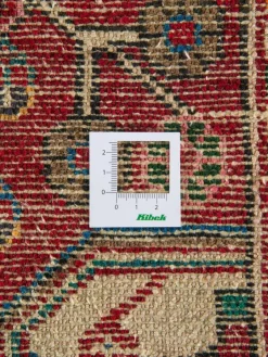 Tuiserkan Hamadan|Kibek Clearance