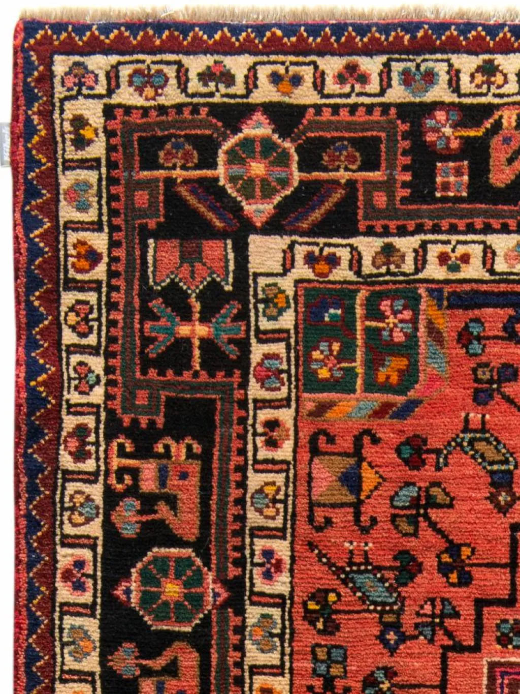 Tuiserkan Hamadan|Kibek Clearance