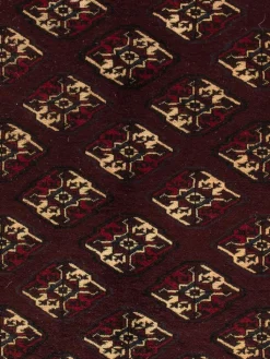 Turkeman|Kibek Outlet