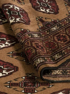 Turkeman|Kibek Clearance