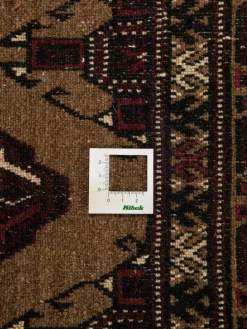 Turkeman|Kibek Clearance