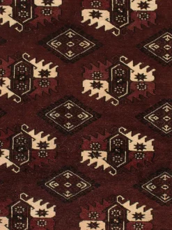 Turkeman|Kibek Clearance