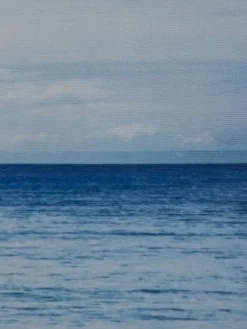 Weg ins Meer|Kibek Clearance