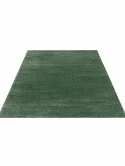 Wylie|Kibek Clearance