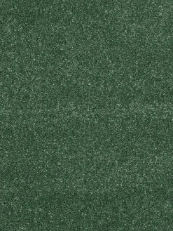 Wylie|Kibek Clearance